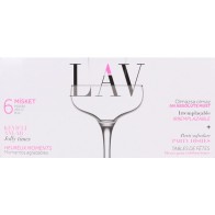 Set of 6 Champagne Glasses 235cc - Elegant Celebration Essentials