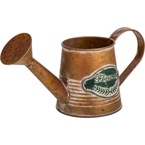 Buy Metal Watering Can for Efficient Plant Care