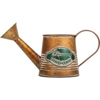 Buy Metal Watering Can for Efficient Plant Care