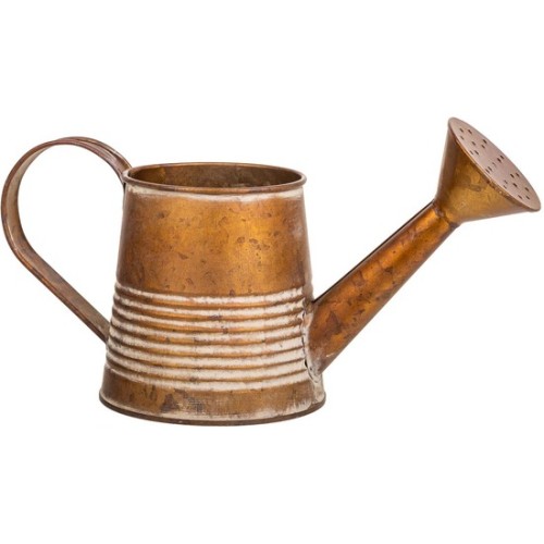 Buy Metal Watering Can for Efficient Plant Care