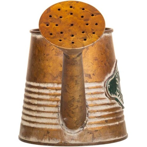 Buy Metal Watering Can for Efficient Plant Care