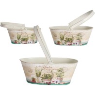 Set of 3 Handle Planters - Assorted Colors