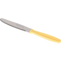 Set of 6 Serrated Dessert Knives Yvory 10.5