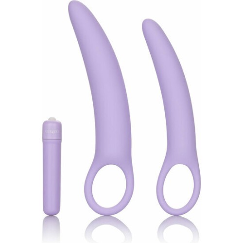 Dlb Isabelle Silicone Dildo Set - Purple