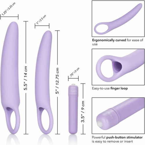 Dlb Isabelle Silicone Dildo Set - Purple