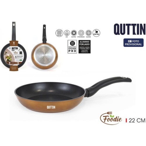 22cm Foodie Frying Pan Quttin