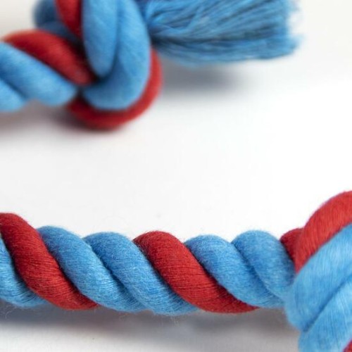 Spiderman Red Dog Dental Floss for Oral Health