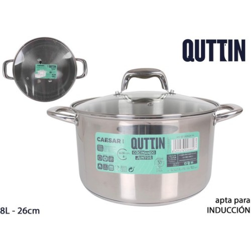 26cm Induction Stainless Steel Pot with Lid New Caesar