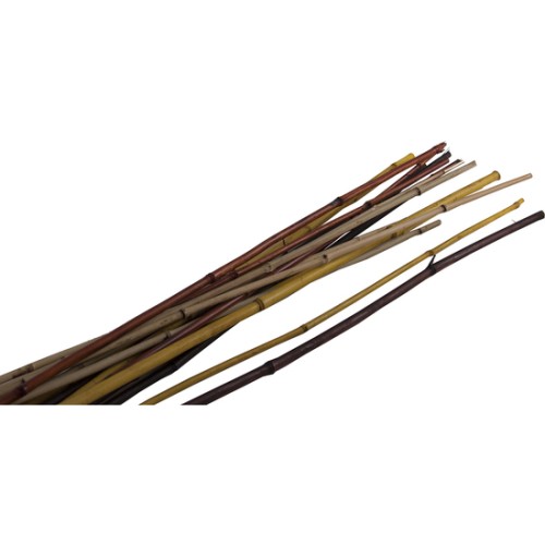 Decorative Reed 160cm Assorted