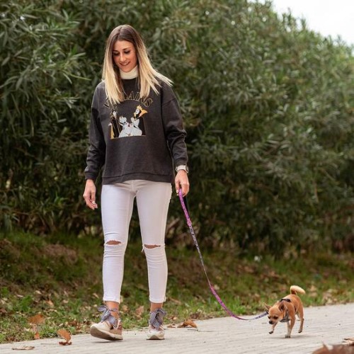 Correa Premium para Perros Villanas de Disney Gris