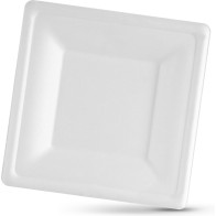 Set of 25 Bio Square Plates 20cm