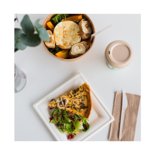 Set of 25 Bio Square Plates 20cm
