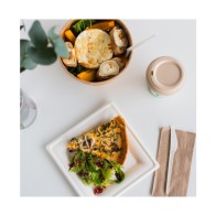 Set of 25 Bio Square Plates 20cm