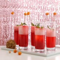 Set 6 Vasos Tubo 315cc Ada