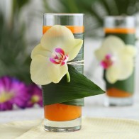 Set 6 Vasos Tubo 315cc Ada