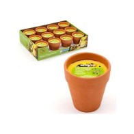 3% Citronella Candle in Terracotta Pot 8 x 9 cm