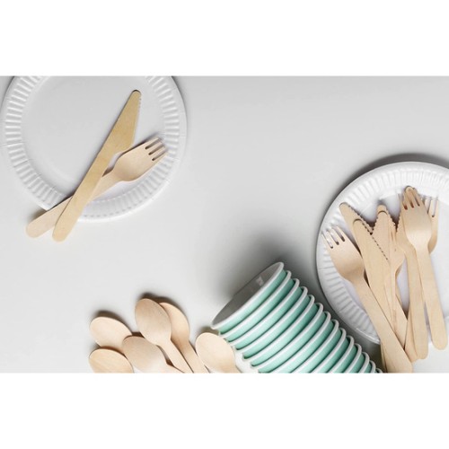 Set de 25 Platos Redondos Naturales - 23cm