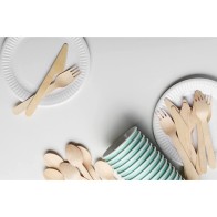 Set de 25 Platos Redondos Naturales - 23cm
