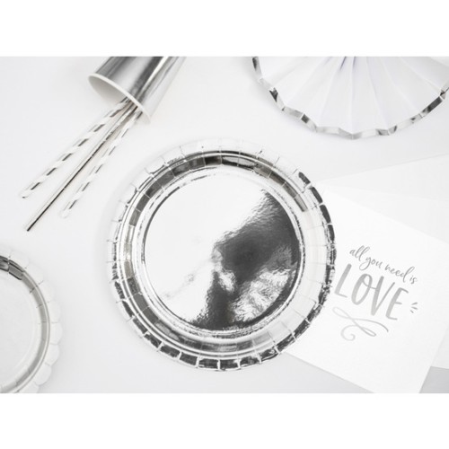 Set of 10 Silver Cardboard Plates 20cm