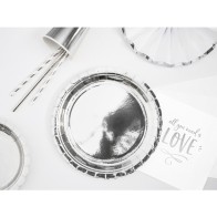 Set of 10 Silver Cardboard Plates 20cm