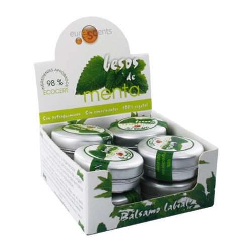 Mint Kisses Lip Balm Protector