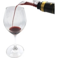 Quttin Wine Decanter Pourer