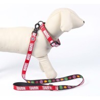 Collar Premium Para Perros XS/S Marvel - Elegante y Duradero