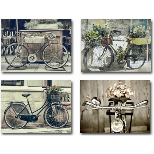 Canvas Bicycle - Assorted Designs