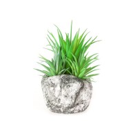 Large Gray Stone Planter for Indoor and Outdoor
