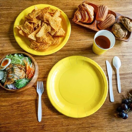Set of 10 Yellow Carton Plates Soy20 Algon