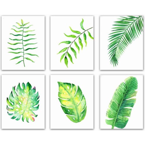 Lienzo 50x70cm 6 Diseños Surtidos
