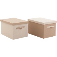 Foldable Fabric Box with Lid - Assorted Colors