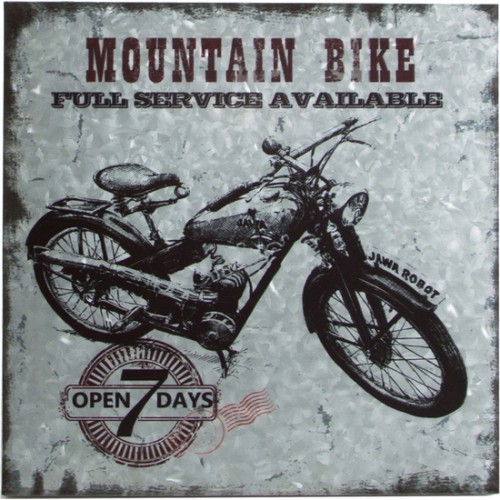 Cuadro Mountain Bike Hierro Galvanizado