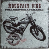 Galvanized Iron Mountain Bike Frame