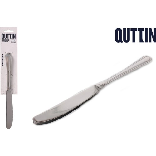 Set of 2 Table Knives 22 cm Antarctica