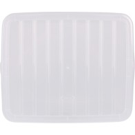 Storage Box with Lid 18L Dodos