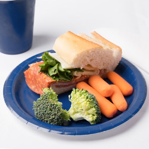 Set of 10 Blue Sugarcane Plates