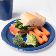 Set of 10 Blue Sugarcane Plates