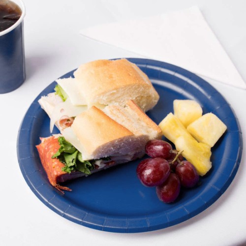 Set of 10 Blue Sugarcane Plates