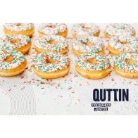 Quttin 21cm Doughnut Baking Mold
