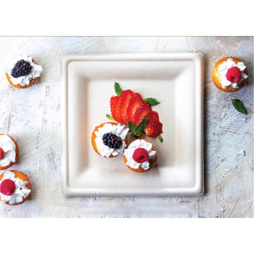 Set of 25 Square Biodegradable Plates 16cm