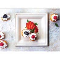 Set of 25 Square Biodegradable Plates 16cm