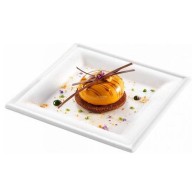 Set of 25 Square Biodegradable Plates 16cm