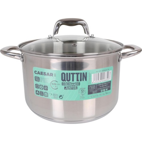 Induction Steel Pot 24cm with Lid New Caesar