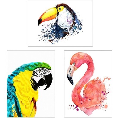 Printed Canvas Animals 50x70cm Assorted Designs