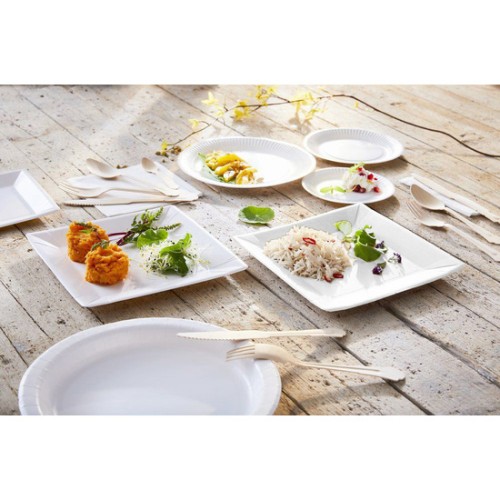 Set of 25 Natural 20cm Square Plates