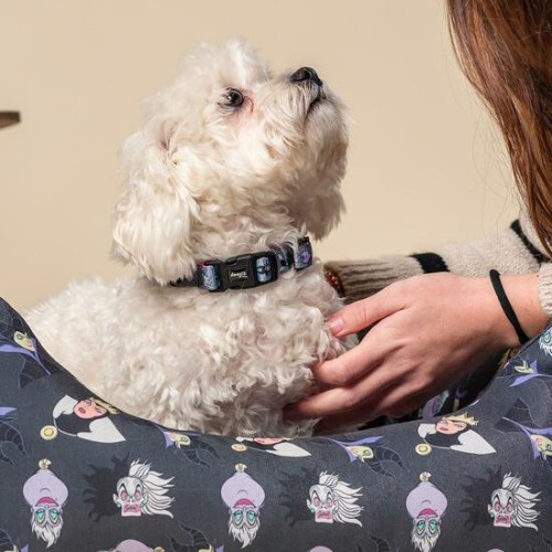 Collar Premium Para Perros XS/S Disney Villanas Gris