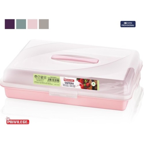 Large Rectangular Tupperware Assorted Colors