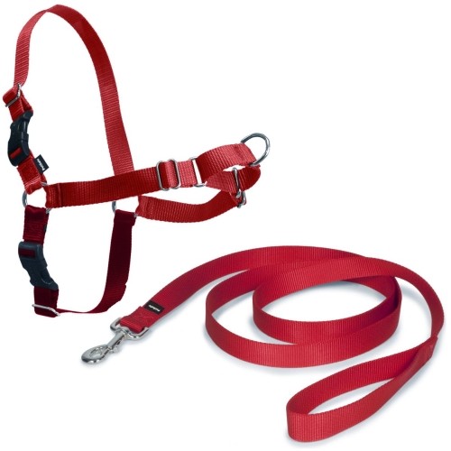 Arnés Easy Walk Rojo Mediano para Perros