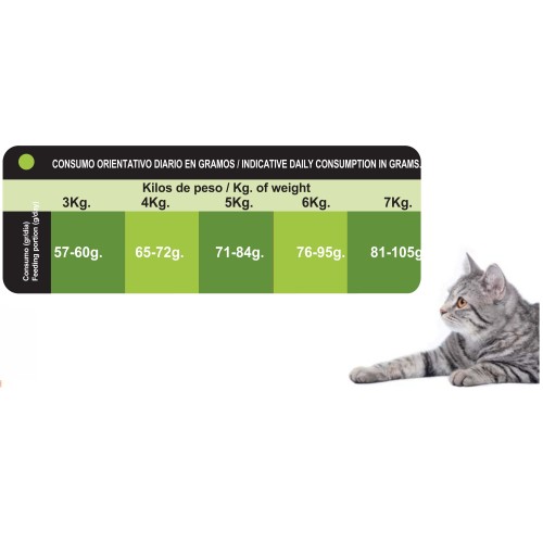 Proct-cat Adult Fish&vegetal 20 Kg